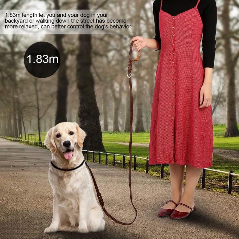 double hook dog leash