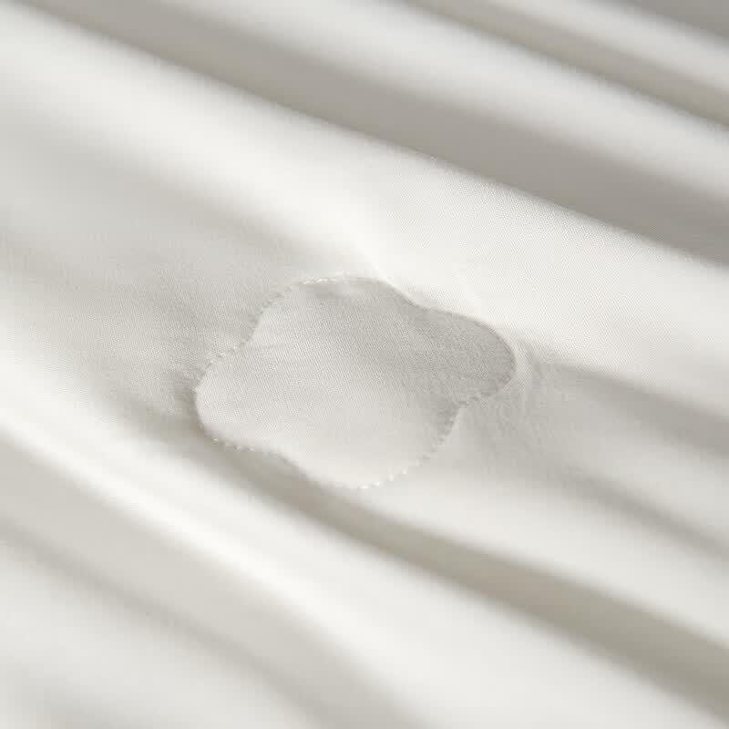 HongXiuShiFang Antibacterial Natural Mulberry Silk Quilt