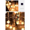 Waterproof Led Solar String Lights For Fairy Garden Decorations