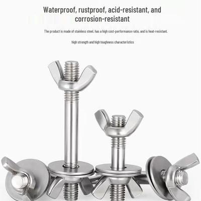 Xiyi 304 Stainless Steel Through-Wall Screw & Bolt Set