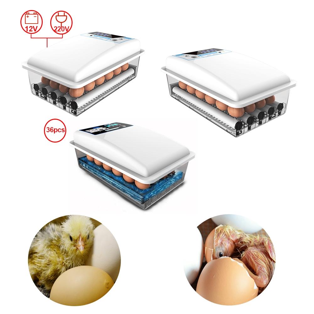 36 Eggs Chicken Chick Farm Hatcher Temperature Control for Chicken Eggs Incubator Automatic Digital Turning Incubators