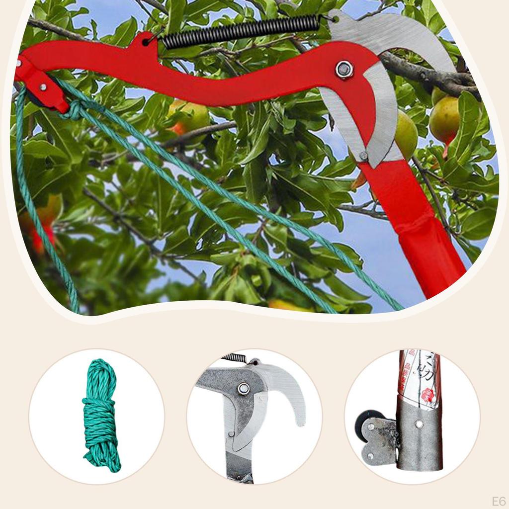 Tesoura de Poda de Alta Altitude Podador de Galhos Colhedor de Frutas Tesoura de Jardim Profissional Corda Incluída