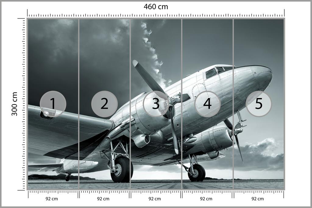 Photomural Propeller Airplane Smooth Vinyl 460x300