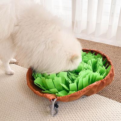 Dingdongpet câine buzunar floare lucru nas 40cm, verde, 1 bucată