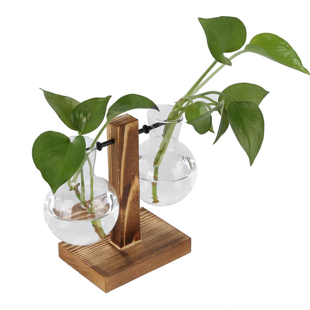 Innovative Planter Vase with Wooden Stand Transparent Glass Hydroponics Vase Desktop DecorationType