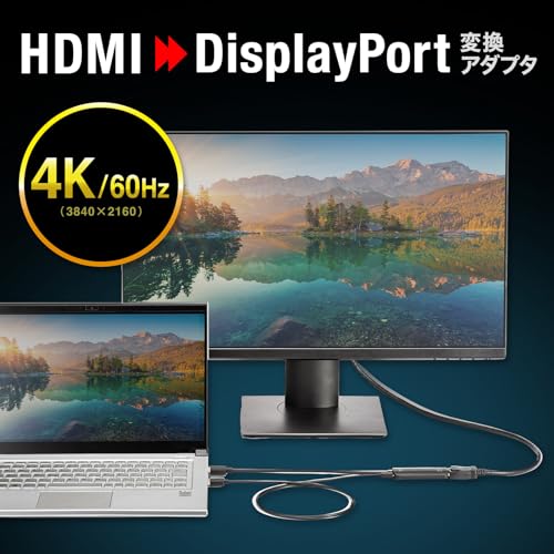 Sanwa Supply HDMI to DisplayPort Adapter (4K/60Hz) AD-HD31DP