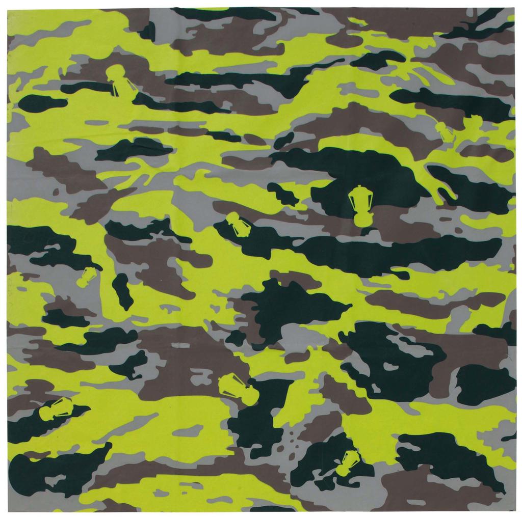 COLEMAN Tent Repair Kit Camo 170TA0061