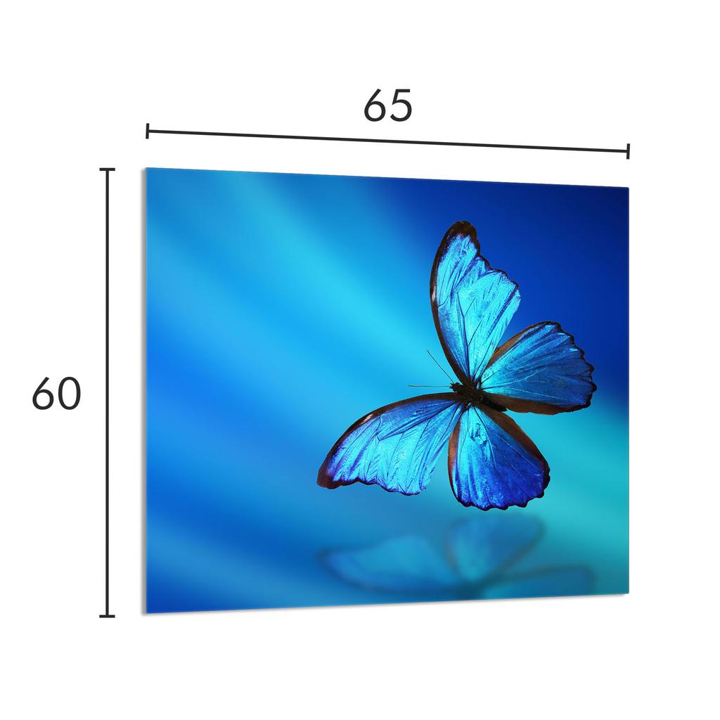 GLASPANEL FÜR DIE KÜCHE 65x60 Schmetterling