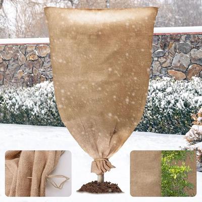 Bahçe İçin Yapılar – Bahçe Seraları