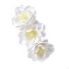 62KD Curtain Holders with Flower Pattern Curtain Tiebacks, Easy Installs Curtain Ties