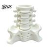 Creative Spine Pen Holder Simulated Holder, Skeleton Desktop Organizer, Durable Scientific Desk Ornament PLA 3D Printed Anatomy for Home Office
