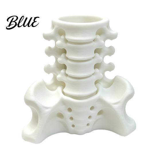 Creative Spine Pen Holder Simulated Holder, Skeleton Desktop Organizer, Durable Scientific Desk Ornament PLA 3D Printed Anatomy for Home Office