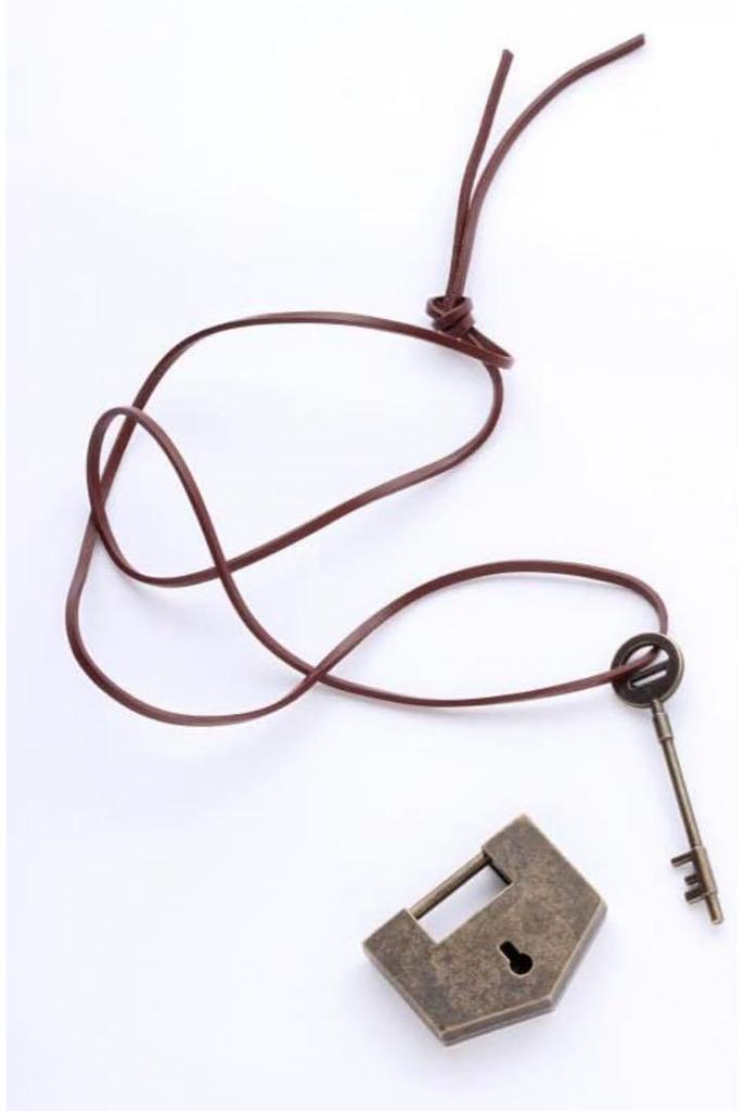 [USED] Attack on Titan Art Book FLY