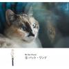 Lensbaby Omni Universal Expansion Pack With Rainbow Filter And wAnd 14 Types Set