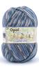Opal Friendship Sock Wool Stay Together Yarn, 6-ply, Blend, 11564. Let's