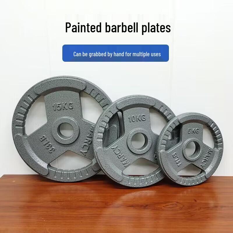 Pure Iron Hand Grip Barbell Plates