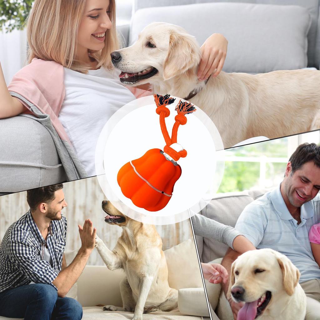 Interactive Ball For Dogs Motion Activated Rolling Ball Interactive Toys With Sound And Lights For Medium Small Dogs Puppy Pet