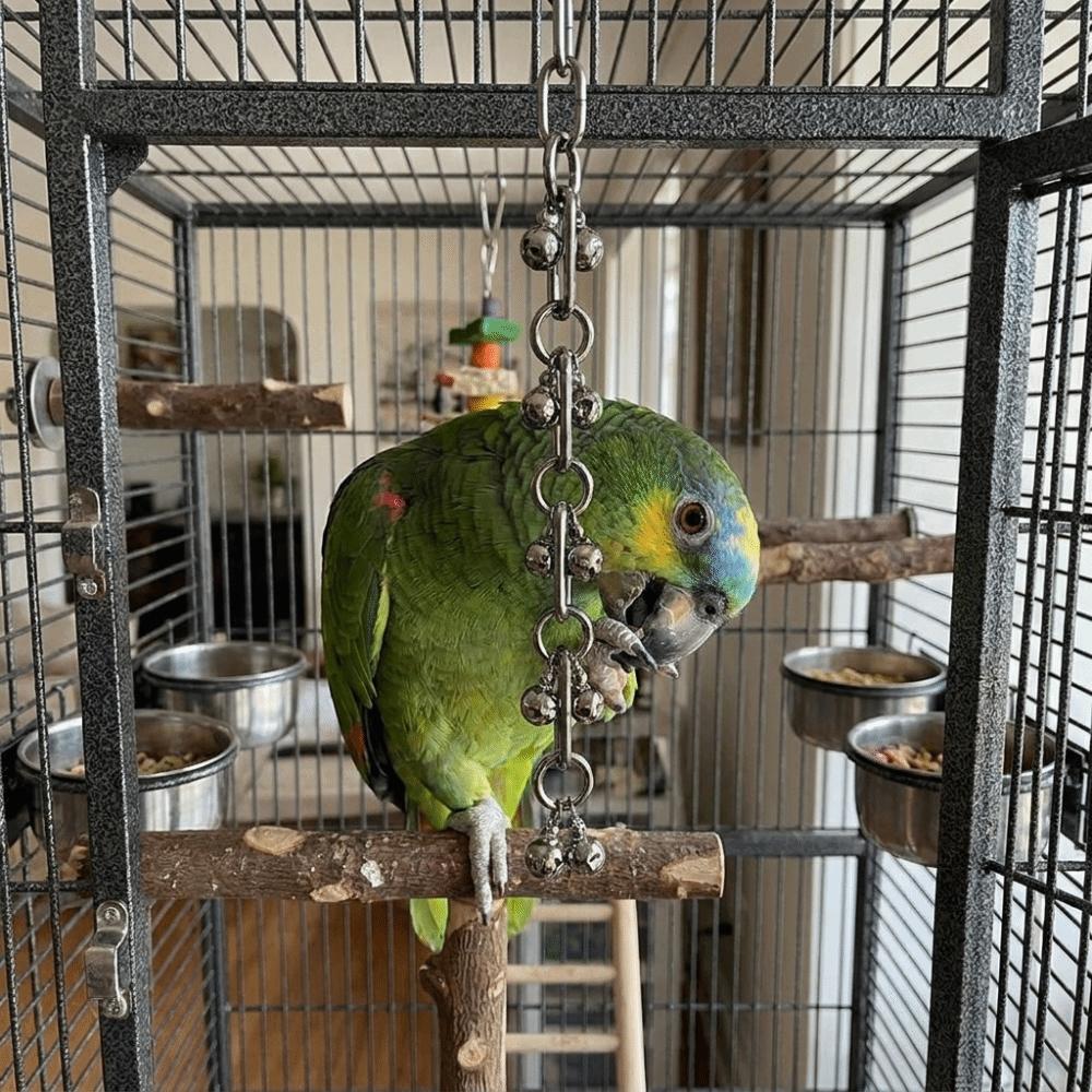 Stainless Steel Hanging Molar Toy Wear-resistant Bird Cage Toy Parrot Gnaw Toy Development Puzzle