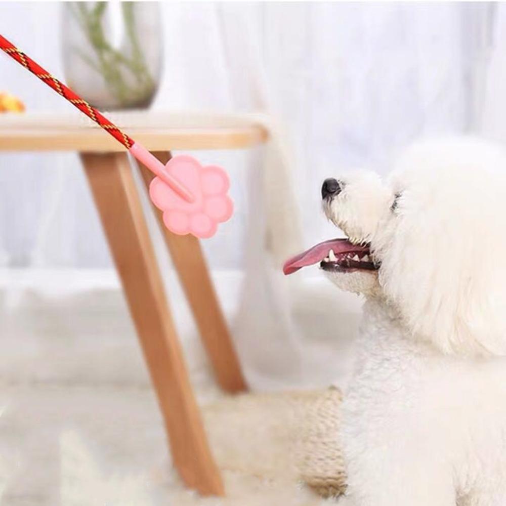 Claw Shaped Training Dog Whip Non-slip Handle Training Dog Stick Pliable   Outdoor Indoor
