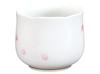 Okura Touen [Hand-painted] Sakura No. 12 Sake Cup, Approx. 95cc, Made In Japan, 12CCN/C303