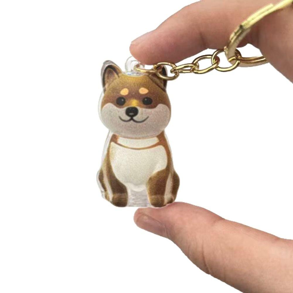 Transparent Dog Hair Collection Pendant Bichon Husky Corgi Gifts Dog Hair Storage Box Portable Pet Hair Ball Storage Pendant