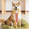 Köpek – Köpek oyuncakları