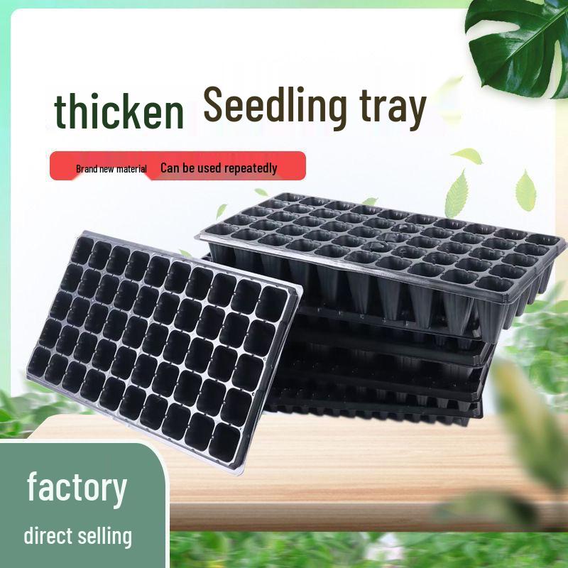Thickened Seedling Tray for Corn, Vegetables, Strawberries & Peppers
