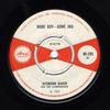 7-Zoll-Schallplatte DESMOND BAKER  THE CLARENDONIANS   Rude Boy  Gone Jail  Dont Fool M WI295 Island Records 1966 UK Reggae Ska  Dub Gebraucht