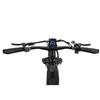 FREEDARE Saiga Electric Mountain Bike 250W BaFang Motor,48V20Ah Battery,with GPS Smart App Control