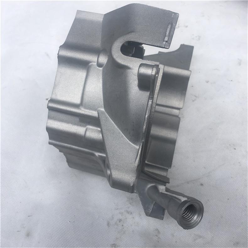 Motorcycle Accessories WH100T Joy Ou 2 Engine Crankcase Casings - Large & Small, Left & Right