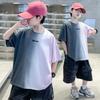 Boys' handsome short sleeved T-shirt 2026 new style big children's summer clothes half sleeved summer top boys' T-shirt trendy T