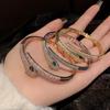 Vintage Green-Eyed Serpent Bangle: Exotic Snake Evil Eye Bracelet for Women