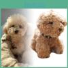 Fluffy Teddy Dog Plush Keychain Adorable Puppy Bag Accessory