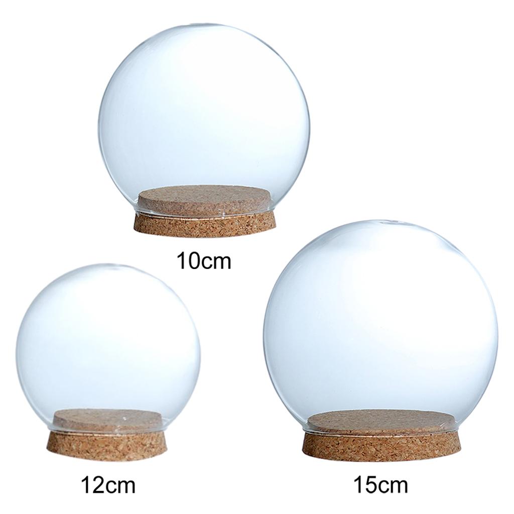

Decorative Glass Dome with Wood Base DIY Dry Flowers Fairy Lights Ornament 10cm