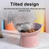 Raised Tilted Pet Food Bowl Plastic Cat Dog Feeding Bowl With Wide Rim And Stable Base For Daily Dry Food And Water Use For Home Pet Feeding Areas