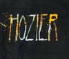 HOZIER Band T-Shirt Bandmitglied Musik Alle Größen T-Shirt NG2390 Unisex T-Shirt