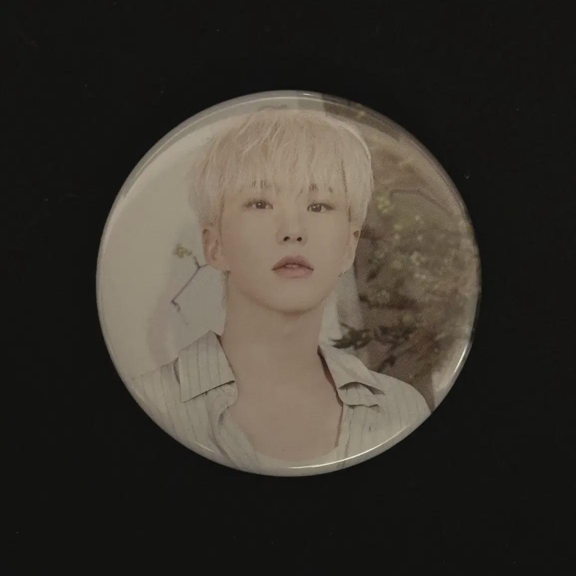 

Seventeen Cafe Hoshi Can Badge Sell/photocard Lucky Draw Lucky Draw