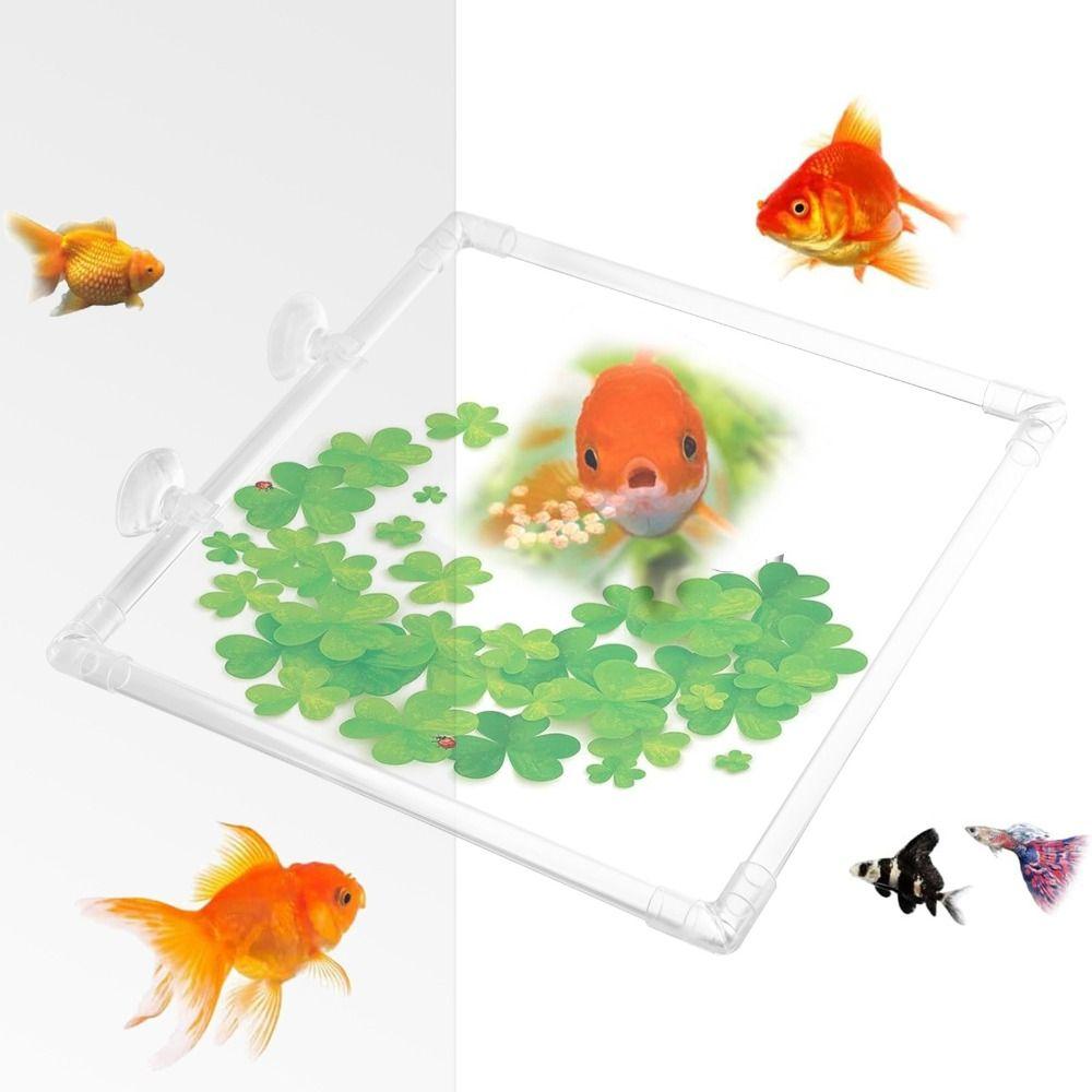 Klarer Aquarien-Schwimmpflanzen-Käfig Acryl-Aquarien-Futterring Garten Rasen Hof
