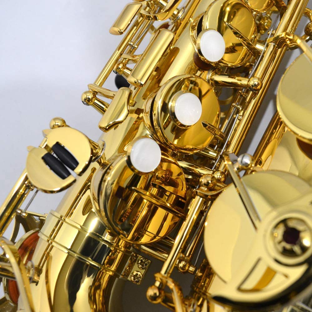 YAMAHA Alto Saxophone Standard YAS-480