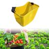 Adjustable Strap Basket for Fruit Collection And Storage