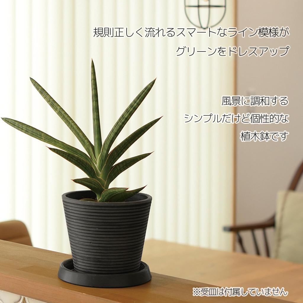 Richell Botany Midi Dark Set of for Outdoor and Product 003677 Pot, 20-inch, Gray, 3, Vegetables, Plants, Houseplants, Bonsai, More, Code