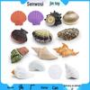 Marine Life Model: Scallop, Sea Snail, Oyster, Barnacle, and Flower Shell Decoration