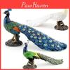Wildlife Pvc Bird Model Peacock Statue Animal Figurine Collection For Shelf Display