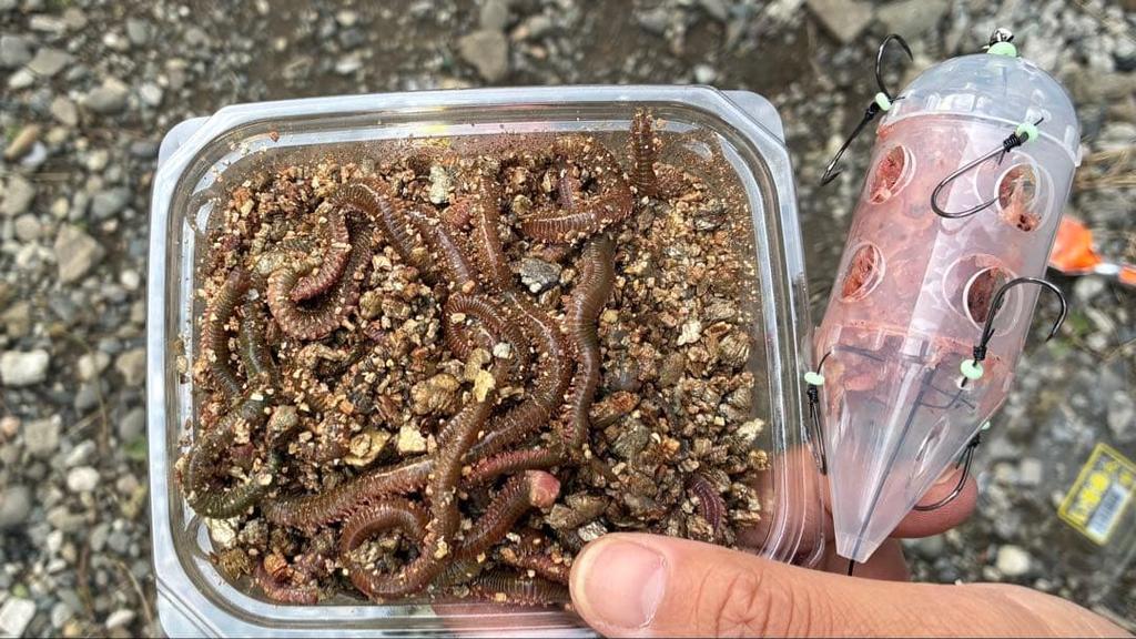 [USED] Killer No. 2 Fishing Bait Box (2 Luminous Type) (with hooks)