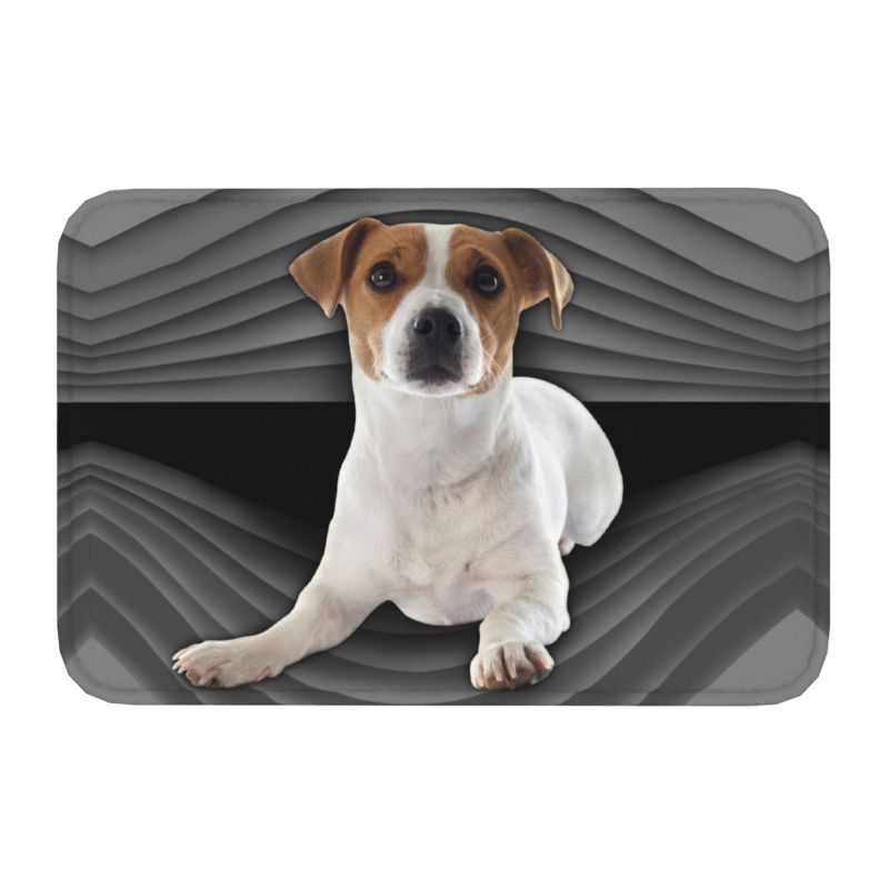 Mème Drôle de Jack Russell Terrier Tapis de Sol d'Entrée de Porte d'Entrée Tapis Extérieur Amoureux des Chiens Tapis de Bain Cuisine Tapis de Sol de Salon 40cmx60cm