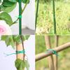 Vegetable Binder Twine Plant Support Type Tomato Clips Trellis Garden Vine Bound Cord Plant Fixing Clip Cages 20/30/50/100 meter