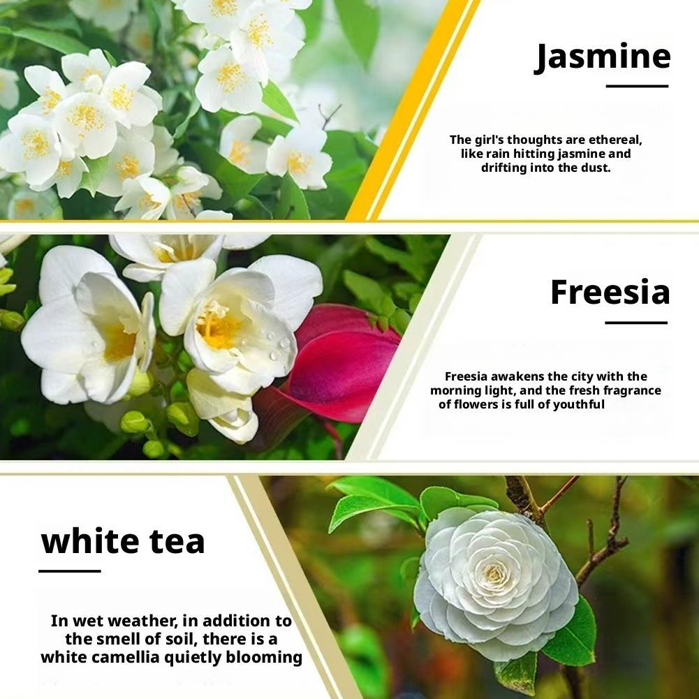 10ml Essential Oil for Aroma Diffuser AirHumidifier Home Water-soluble Lavender Rose Car Air Fresheners Perfume Refill