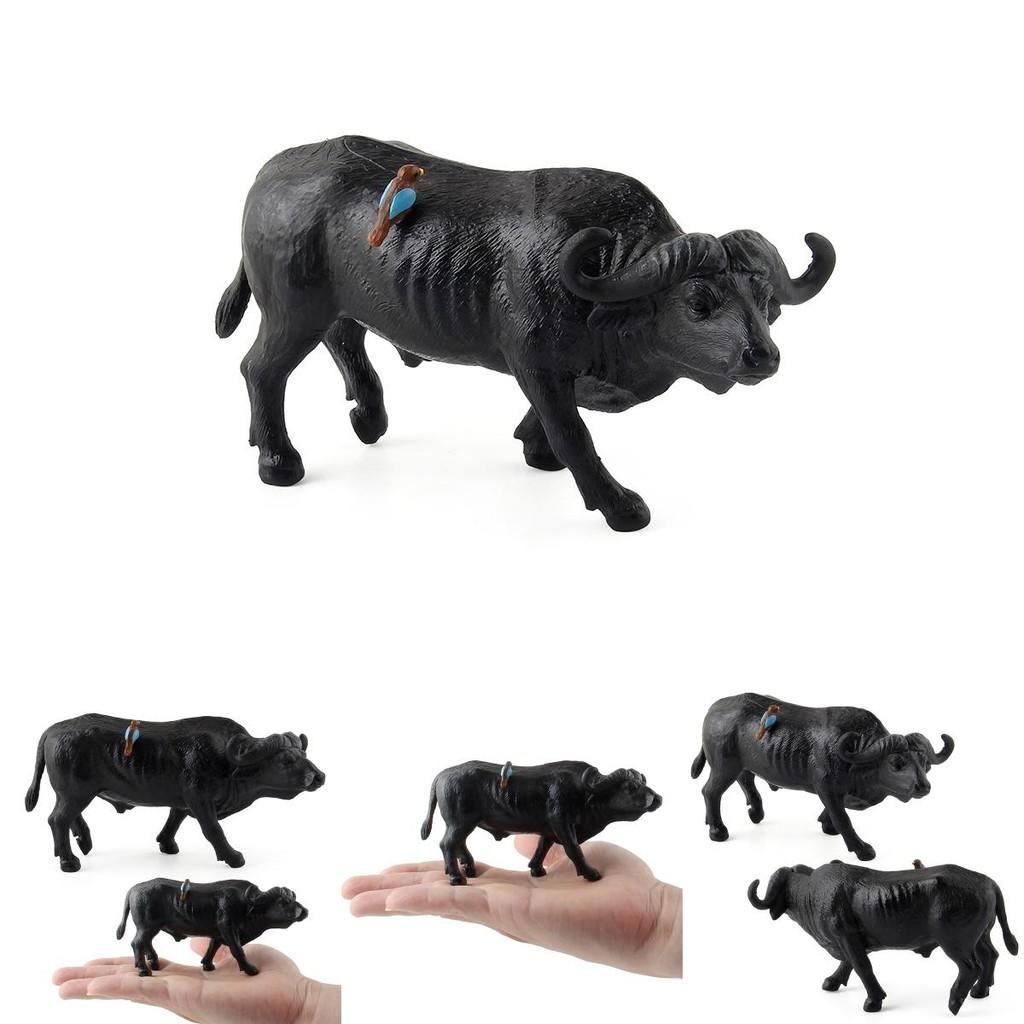 Búfalo de Agua Animal Salvaje Modelo Juguete de Plástico Para Niños Sala de Juegos Educativa Decoración