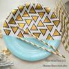 OIMG 9-inch Birthday Party Disposable Paper Plates - Polka Dot & Gold Triangle (8-Pack)