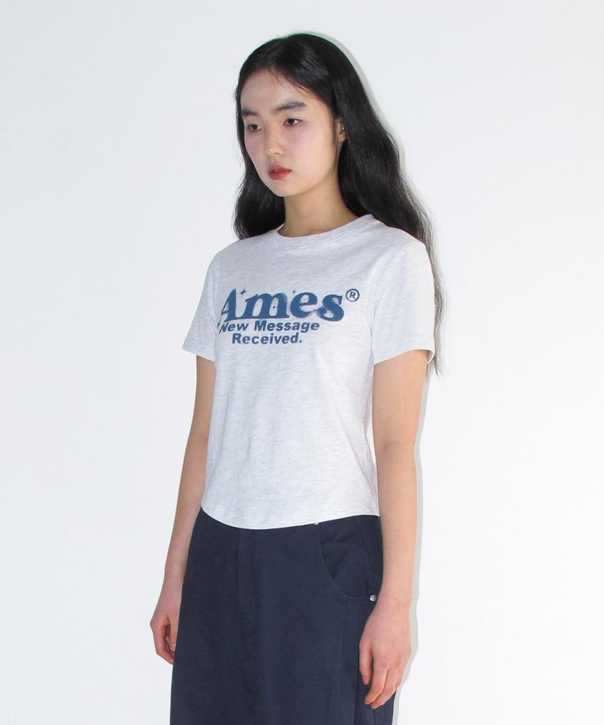 AMES-WORLDWIDE Round Hem Crop Tee Light Gray